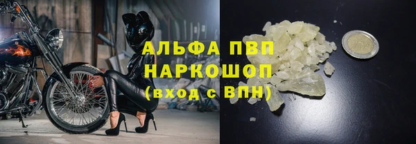 PSILOCYBIN Магас