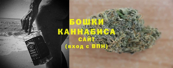 дмт Лиски