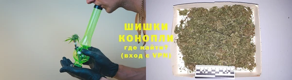 дмт Лиски
