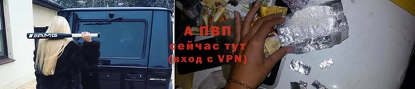прущие грибы Липки