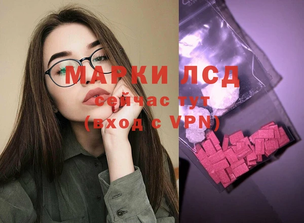 прущие грибы Липки