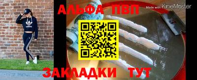 индика Гатчина