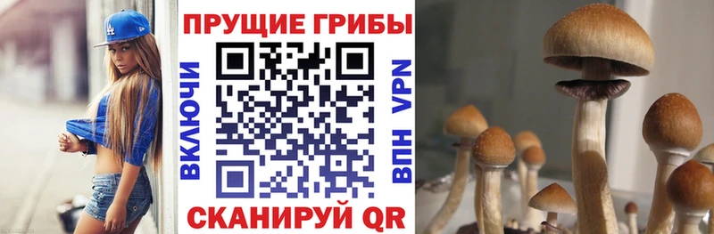 Галлюциногенные грибы ЛСД  Строитель 